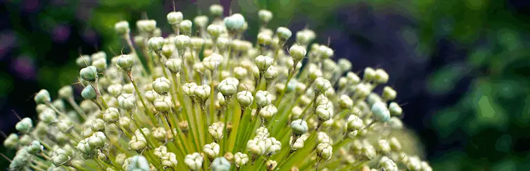 Redirection-plugin’et hjælper med at styre omdirigeringer, hvilket forbedrer brugeroplevelsen og SEO.